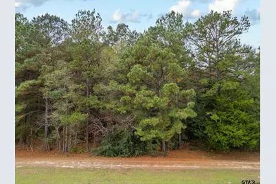 Tbd 155 S, Big Sandy, TX 75755 - Photo 2