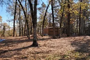 3781 Farm To Market 2869, Hawkins, TX 75765 - Photo 2