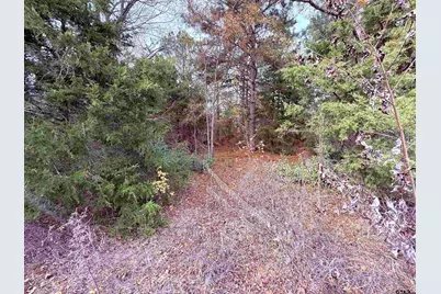 Tbd Hwy 37, Winnsboro, TX 75494 - Photo 4