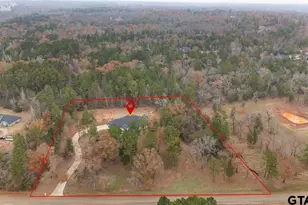 10707 Moser Ln, Whitehouse, TX 75791 - Photo 44