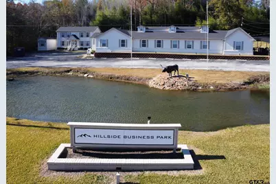 15632 Hwy 110 S Unit 19, Whitehouse, TX 75791 - Photo 2