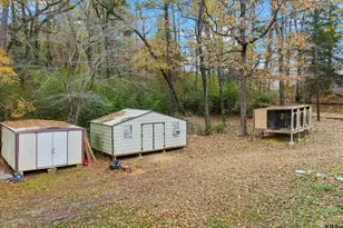 532 W State Hwy 42 Access, Kilgore, TX 75662 - Photo 30