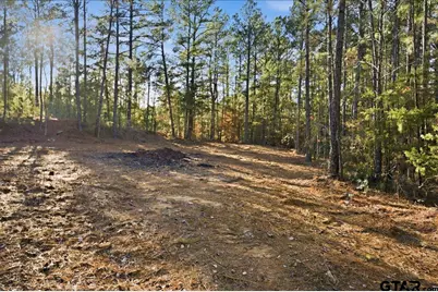 222 S Main Street, Arp, TX 75750 - Photo 4