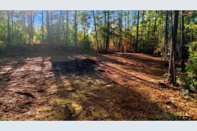 222 S Main Street, Arp, TX 75750 - Photo 12