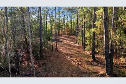 222 S Main Street, Arp, TX 75750 - Photo 10