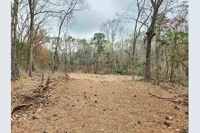 19387 & 19365 Cr 4125, Lindale, TX 75771 - Photo 1