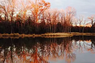 18 Lakeside Dr, Montalba, TX 75853 - Photo 6