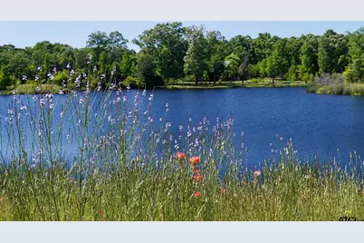 18 Lakeside Dr., Montalba, TX 75853 - Photo 4