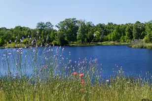 18 Lakeside Dr, Montalba, TX 75853 - Photo 4