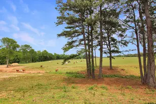 19413 US Hwy 79 E, Jacksonville, TX 75766 - Photo 6