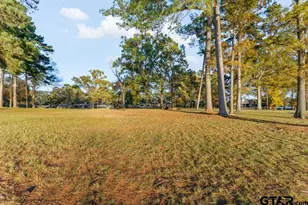 526 Shadywood, Avinger, TX 75630 - Photo 40