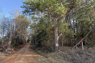 Tbd Fm 2888, Marietta, TX 75566 - Photo 4