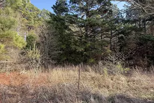 Tbd Fm 2888, Marietta, TX 75566 - Photo 2