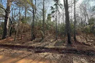 Tbd Cr 2733, Marietta, TX 75566 - Photo 4