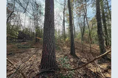 Tbd Cr 2733, Marietta, TX 75566 - Photo 2