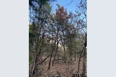 Tbd N Cr 1200, Athens, TX 75751 - Photo 4