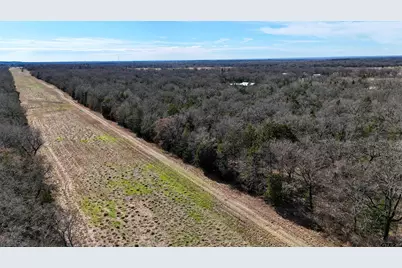 Tbd N Cr 1200, Athens, TX 75751 - Photo 6
