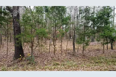 14112 Cr 2141, Troup, TX 75789 - Photo 6