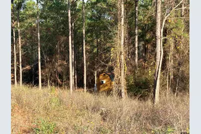 845 George Blvd., Rusk, TX 75785 - Photo 4