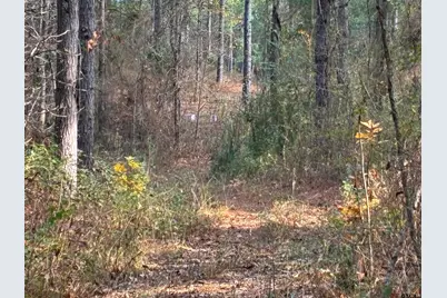 845 George Blvd., Rusk, TX 75785 - Photo 8