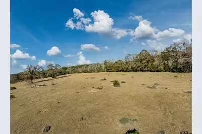 0 An County Road 153, Palestine, TX 75801 - Photo 6