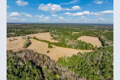 0 An County Road 153, Palestine, TX 75801 - Photo 14