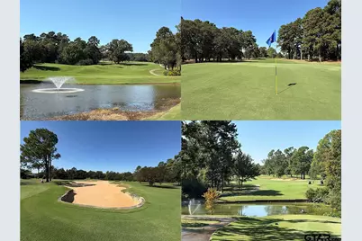 1743 Barbara Court, Hideaway, TX 75771 - Photo 38