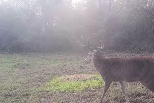 Tbd Cr 2737, Naples, TX 75568 - Photo 28