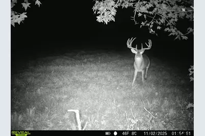 Tbd Cr 2737, Naples, TX 75568 - Photo 10