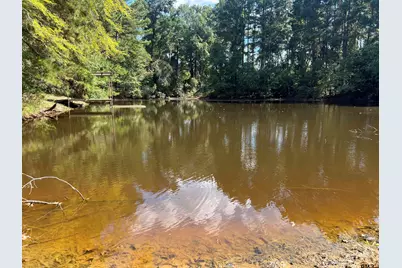 Tbd Cr 2737, Naples, TX 75568 - Photo 4