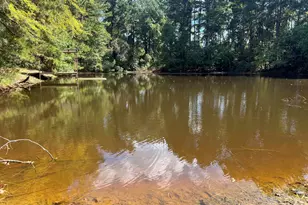 Tbd Cr 2737, Naples, TX 75568 - Photo 4