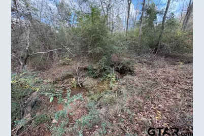 18277 County Road 295, Arp, TX 75750 - Photo 22