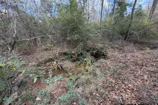 18277 County Rd 295, Arp, TX 75750 - Photo 22