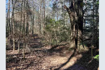 Tbd Fm 161 N, Naples, TX 75568 - Photo 6