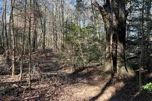 Tbd Fm 161 N, Naples, TX 75568 - Photo 6