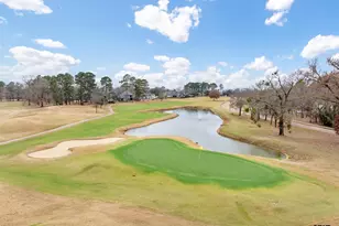 104 Elm Tree Cir, Bullard, TX 75757 - Photo 40