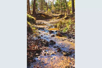 Tbd County Road 477, Lindale, TX 75771 - Photo 26