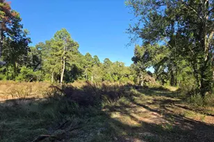 14220 Cr 434, Lindale, TX 75771 - Photo 28