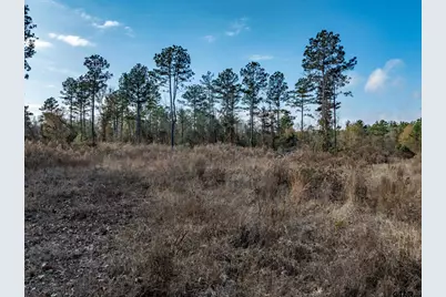 Tbd Tom Woodley Rd, Marshall, TX 75672 - Photo 10