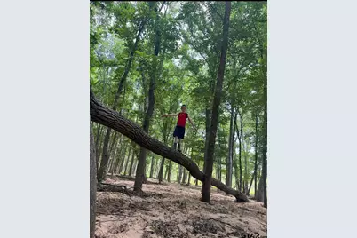 10774 County Road 494 (Multiple Addresses), Tyler, TX 75706 - Photo 18