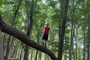 10774 County Road 494 (Multiple Addresses), Tyler, TX 75706 - Photo 18