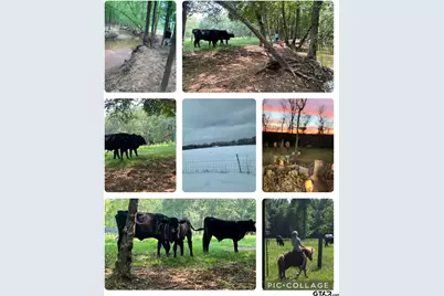 10774 County Road 494 (Multiple Addresses), Tyler, TX 75706 - Photo 42