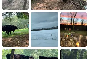 10774 County Road 494 (Multiple Addresses), Tyler, TX 75706 - Photo 42