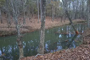 10774 County Road 494 (Multiple Addresses), Tyler, TX 75706 - Photo 2