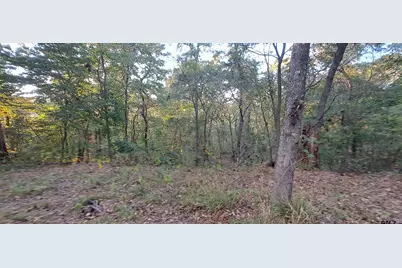 10774 Cr 494 (Multiple Addresses), Tyler, TX 75706 - Photo 44