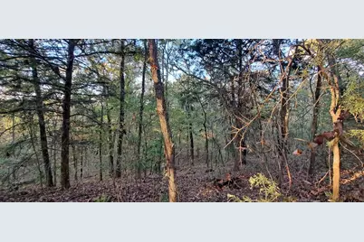 10774 Cr 494 (Multiple Addresses), Tyler, TX 75706 - Photo 38