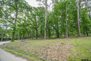 23628 Cove Park Dr, Bullard, TX 75757 - Photo 14