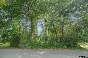 15714 Meadow Cir, Bullard, TX 75757 - Photo 18