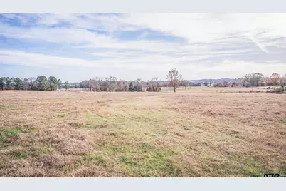 3250 Fm 22 - 82.91 Acres, Jacksonville, TX 75766 - Photo 20