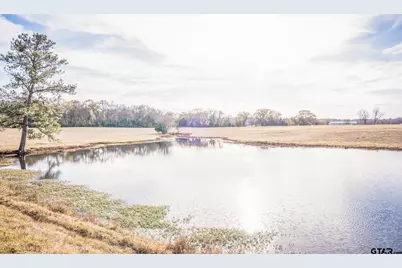 3250 Fm 22 - 82.91 Acres, Jacksonville, TX 75766 - Photo 16
